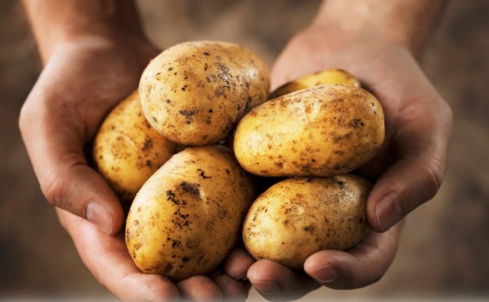 Πατάτα: Μια «αθώα» τροφή που κρύβει σοβαρούς κινδύνους για την υγεία