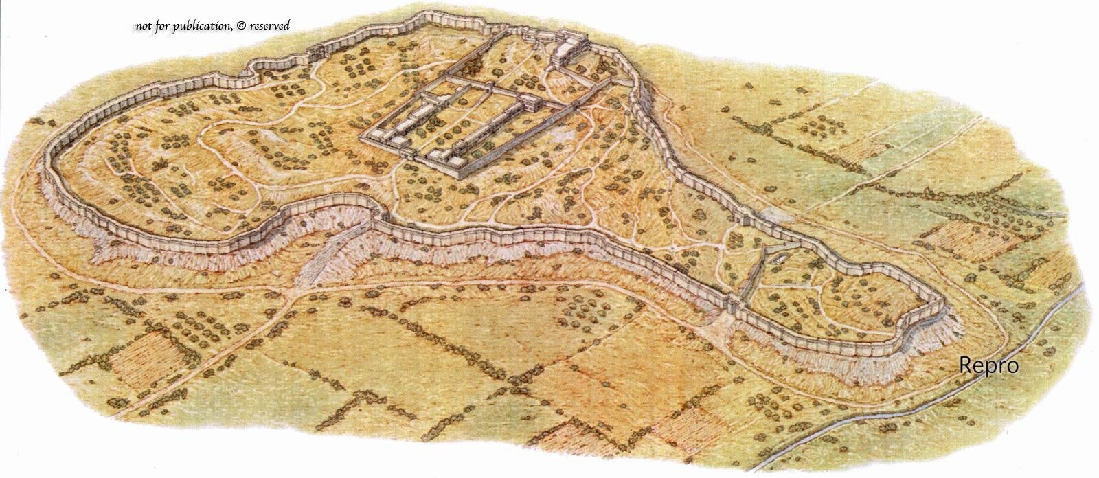 Αποκαλύφθηκε μυκηναϊκή Ακρόπολη στην Κωπαΐδα – Επτά φορές μεγαλύτερη από αυτή των Μυκηνών (εικόνες)